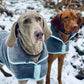 Henry Wag Microfibre Dog Drying Coat