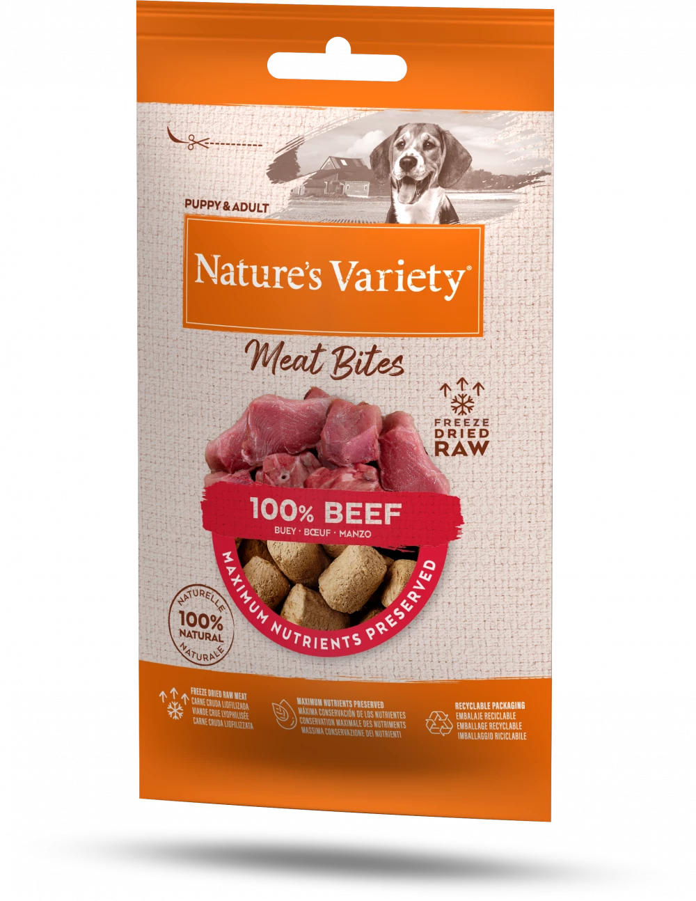 Natures Variety Freeze Dried Meat Bites Treats Beef 20g