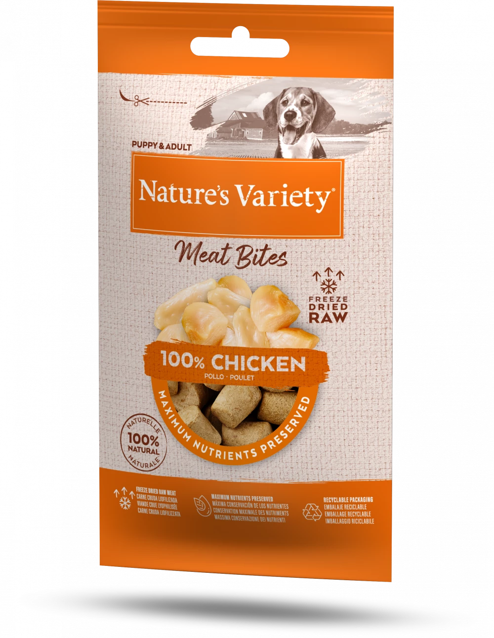 Natures Variety Freeze Dried Meat Bites Treats Chicken 20g