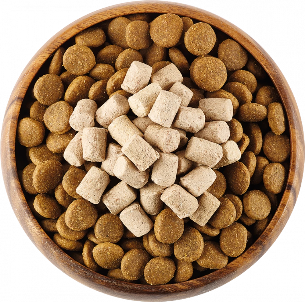 Freeze dried best sale raw dog food