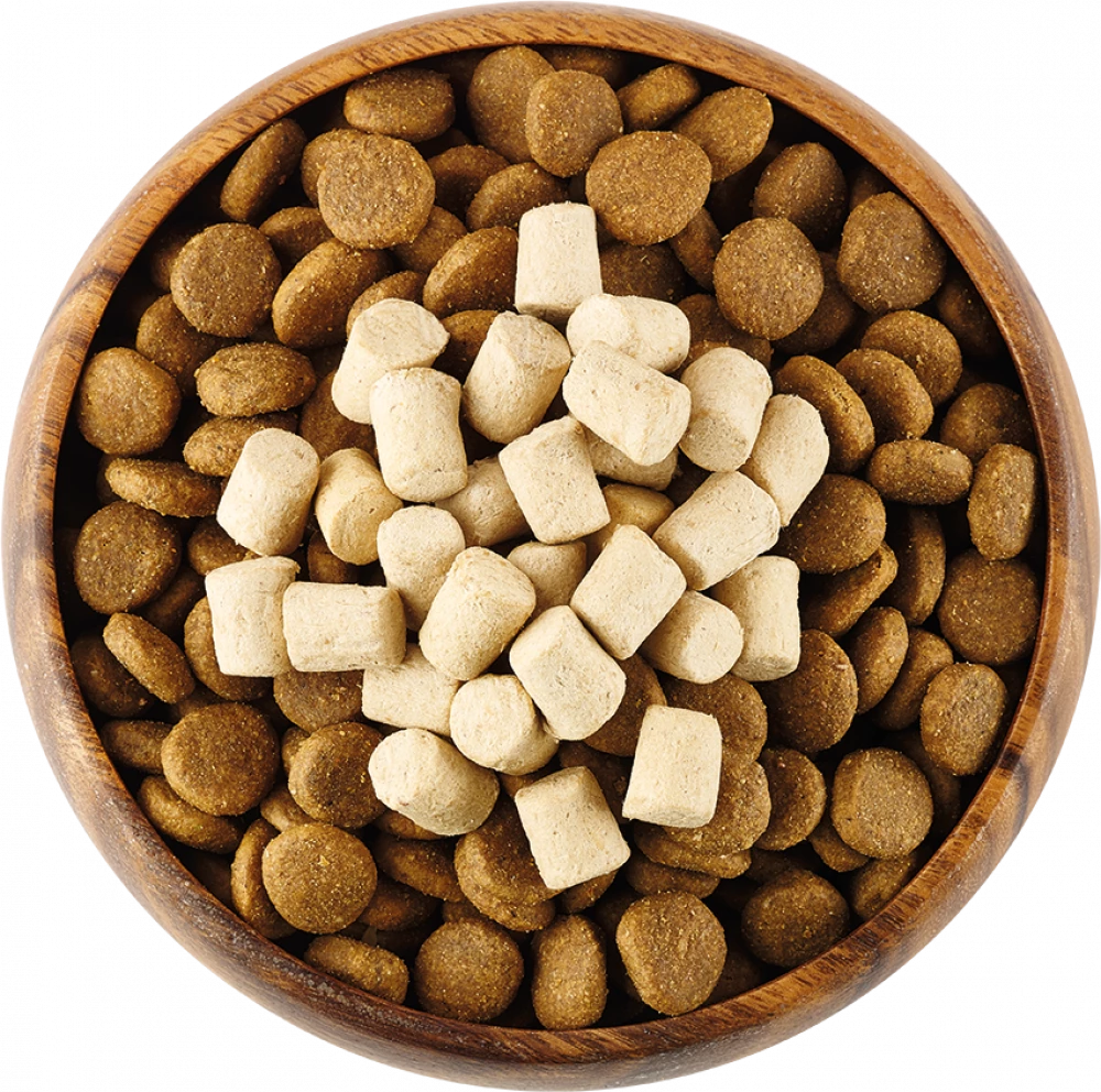 Freeze dried best sale kibble dog food