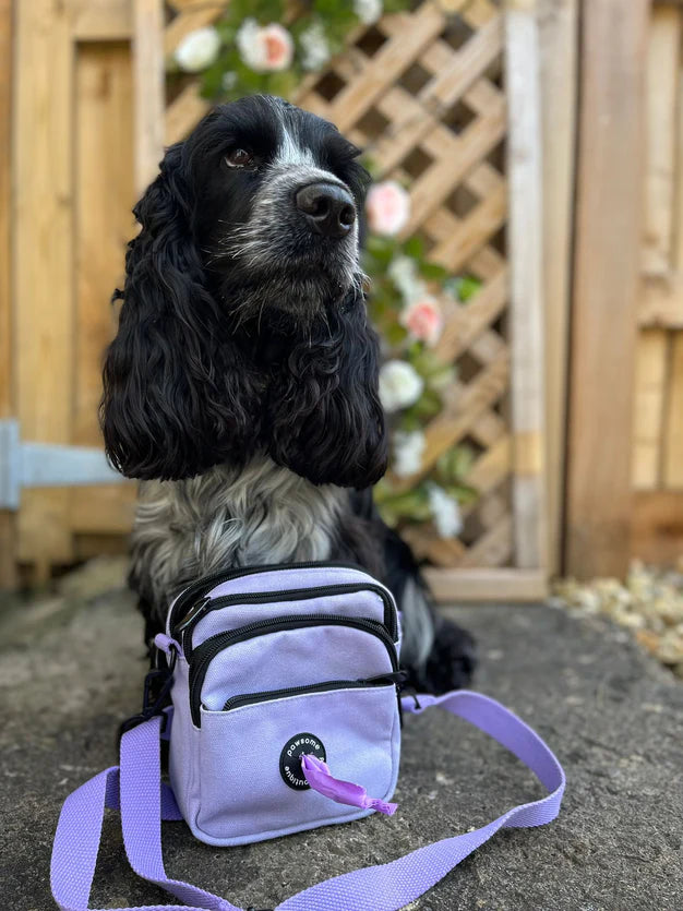 Pawsome Paws Boutique Mini Canvas Dog Walking Bag Lilac