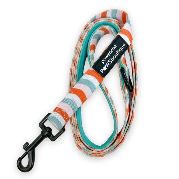 Pawsome Paws Boutique Peppermint Swirl Dog Lead