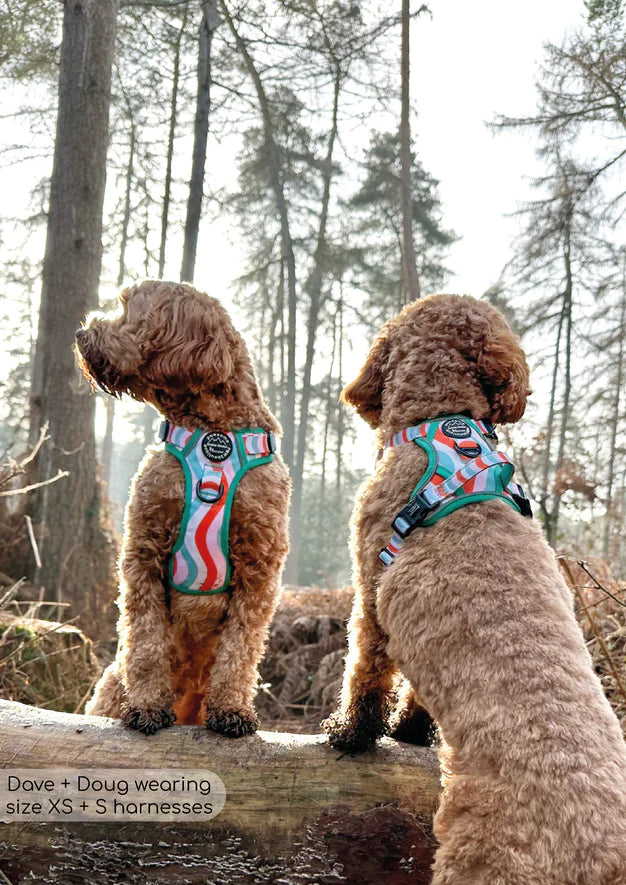 Pawsome Paws Boutique Peppermint Swirl Tough Trails Harness