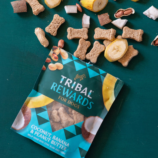 Tribal Rewards Coconut, Banana & Peanut Butter 125g