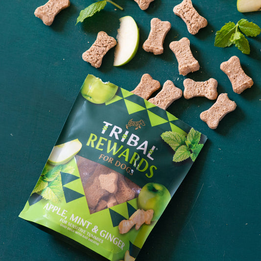 Tribal Rewards Apple, Mint & Ginger Dog Treats 125g