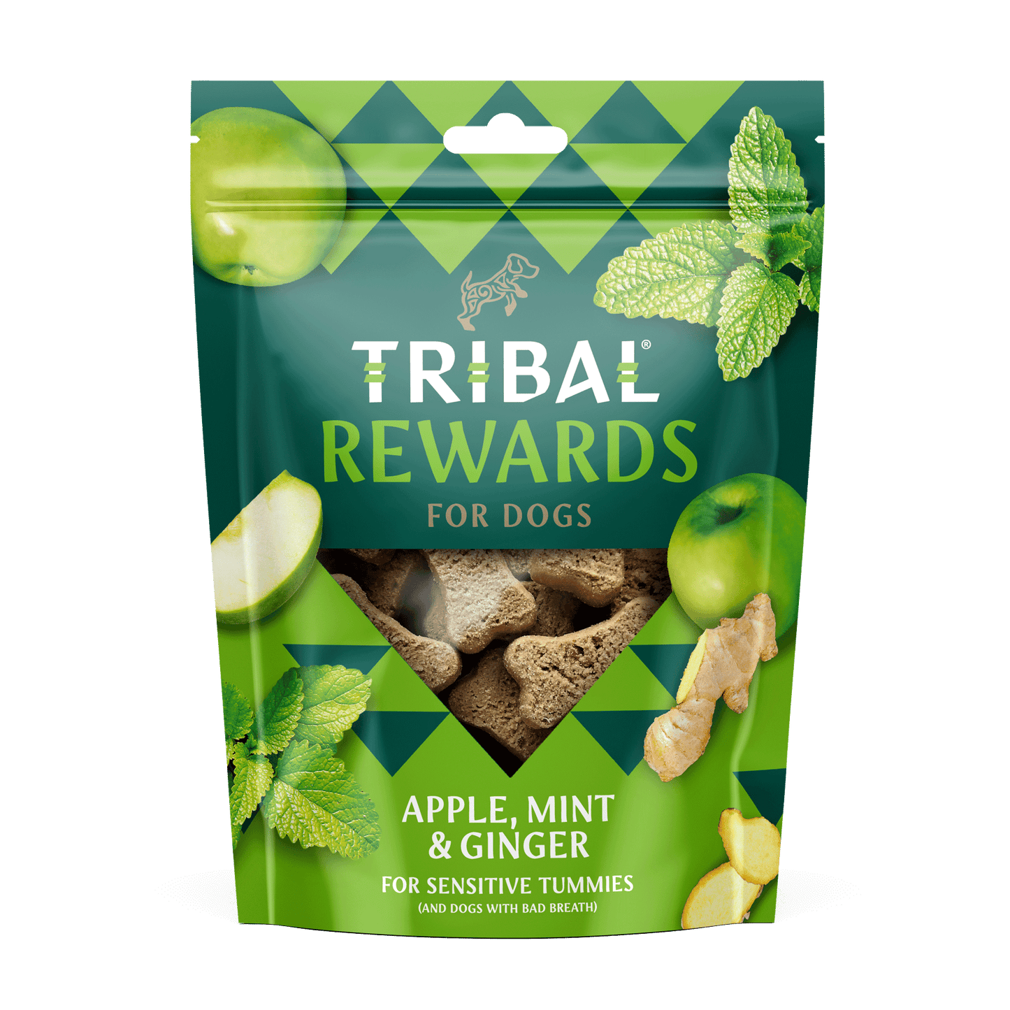 Tribal Rewards Apple, Mint & Ginger Dog Treats 125g
