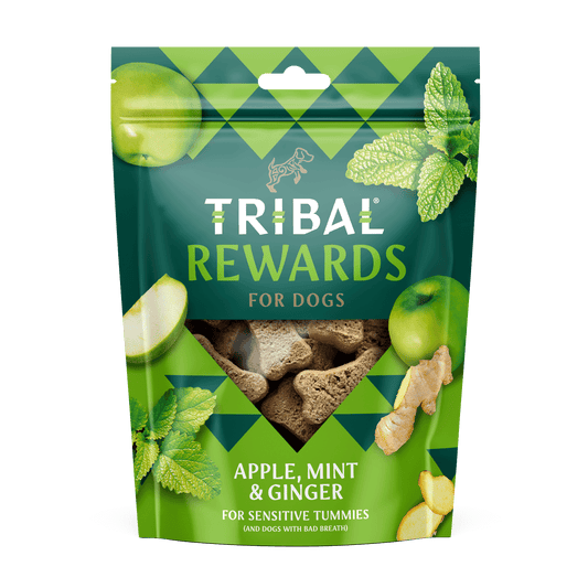 Tribal Rewards Apple, Mint & Ginger Dog Treats 125g