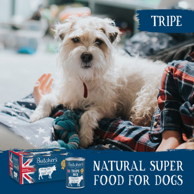 Butcher s Tripe Wet Dog Food Can 1200g