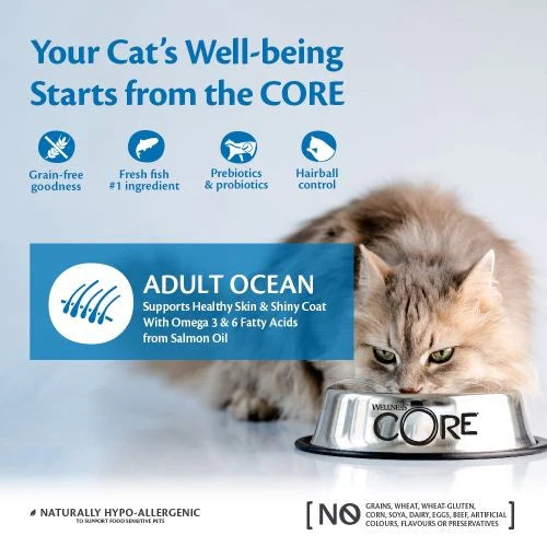 Wellness CORE Ocean Salmon and Tuna Dry Cat Food