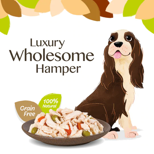 HiLife The Wholesome Hamper Wet Dog Food Multipack Pouches 18 x 100g
