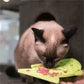 Lickimat Casper Cat Treat Mat