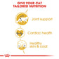 Royal Canin Maine Coon Dry Cat Food
