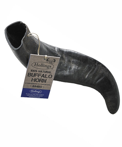 A hollings 100% Natural Jumbo Buffalo Horn