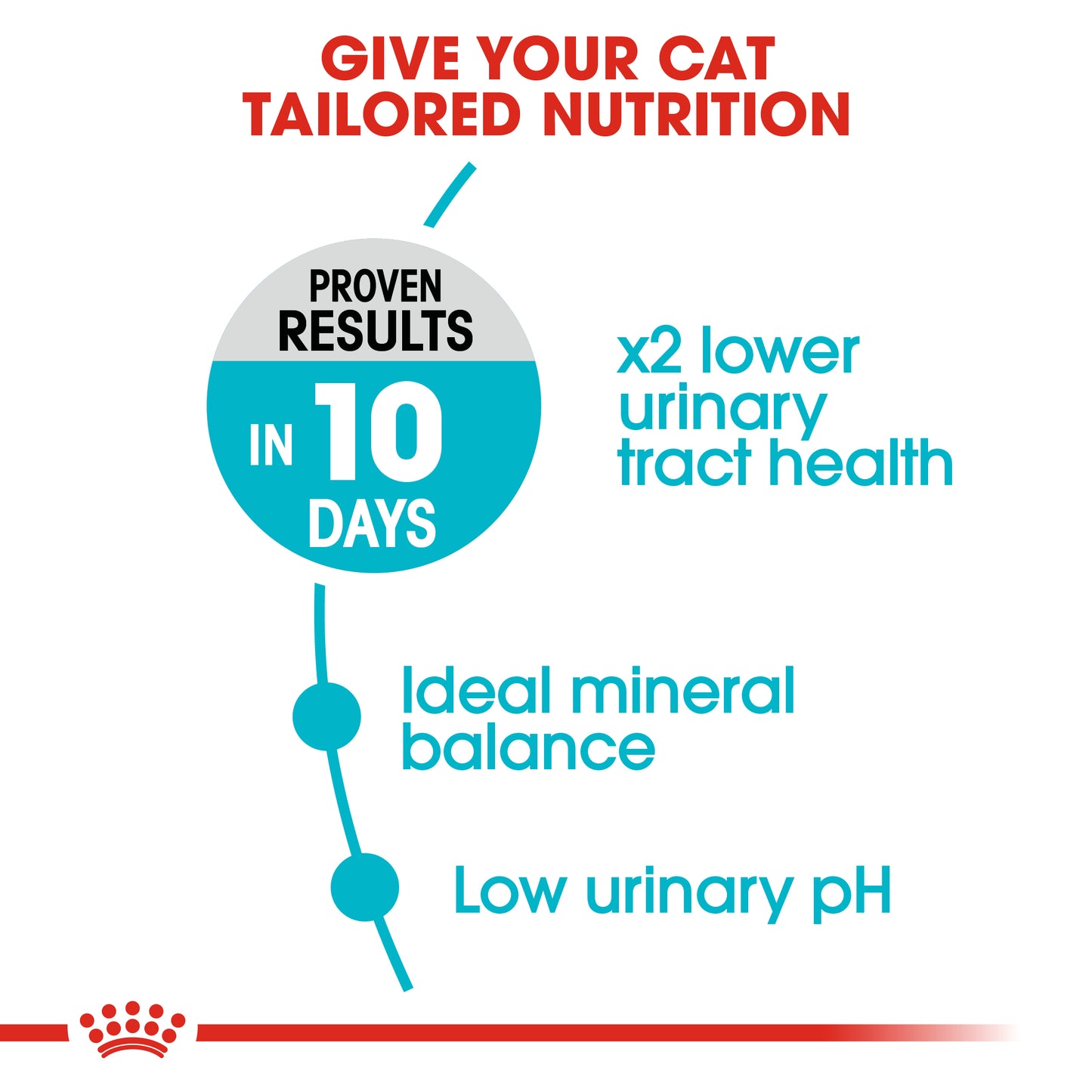 Royal Canin Urinary Care Dry Cat Food