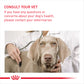 Royal Canin Medium Light Weight Care Dry Dog Food