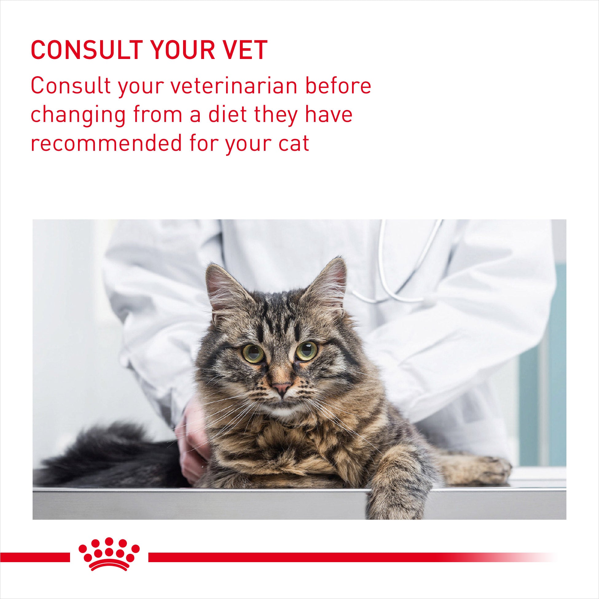 Royal canin outlet urinary care cat