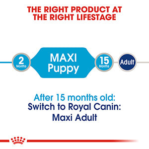 Royal Canin Maxi Puppy Wet Dog Food Pouches 10 x 140g