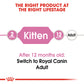Royal Canin Kitten Dry Cat Food