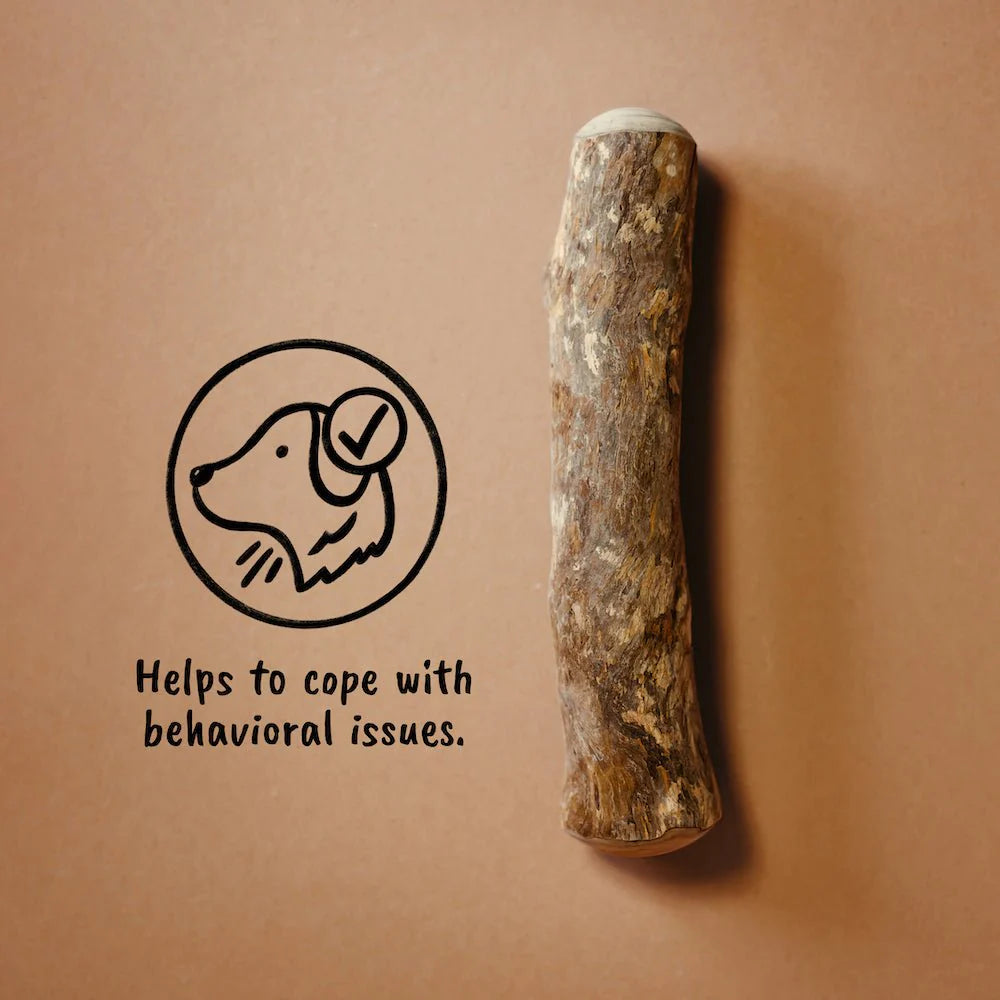 Dog chew for behavioural issues, stress and anxiety