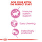 Royal Canin Kitten in Gravy 12x85g
