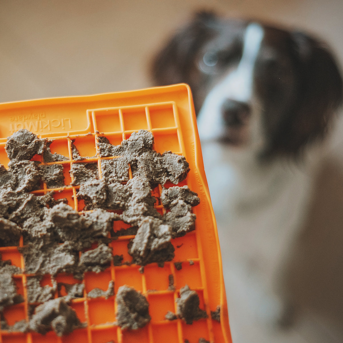 Lickimat Tuff Playdate Treat Mat