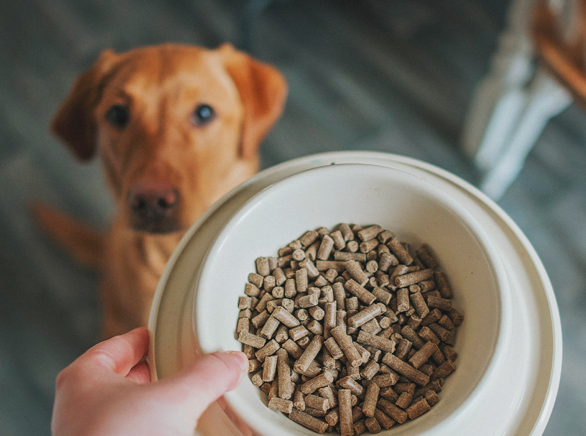 Tribal Fresh Pressed Salmon Dry Dog Food